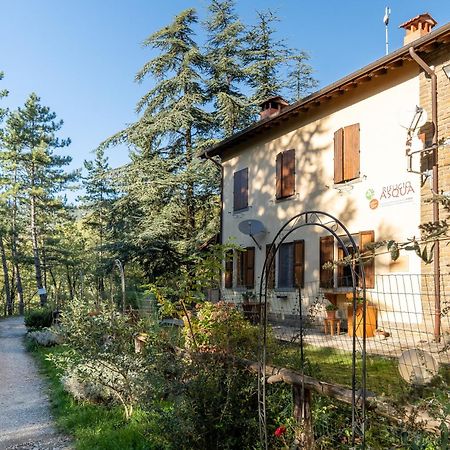 Rifugio Asqua Villa Poppi Eksteriør billede
